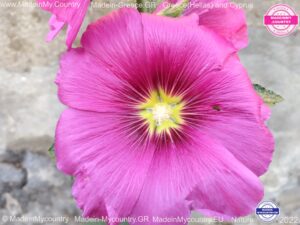 MadeinMycountry MadeinMycountryEU MadeinGreece Nature